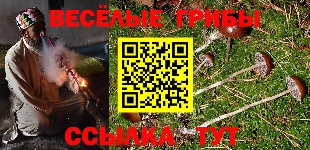 Галлюциногенные грибы GOLDEN TEACHER  Вход с VPN  Красногорск 